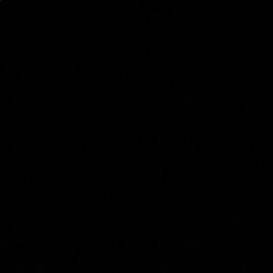 Meet your Posher, Syd